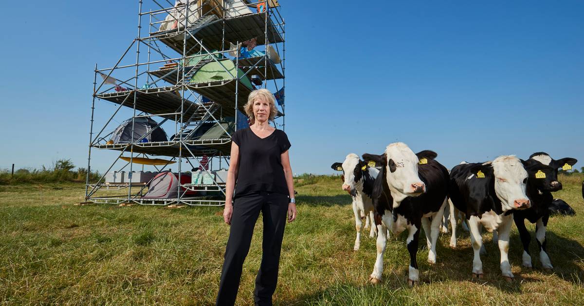 Kunstroute langs IJssel in financiële nood ‘We willen zeker