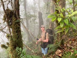 Bioloog Peter Jan de Vries woont in de jungle van Papoea: “Een van de weinige plekken waar de invloed van mensen beperkt is”