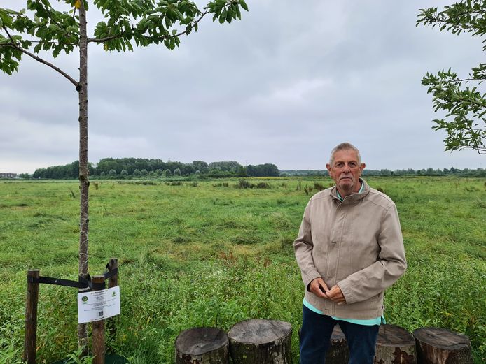 secretaris Peter Lammers: ,,Het planten van bomen moet het gebied wat meer smoel geven.”