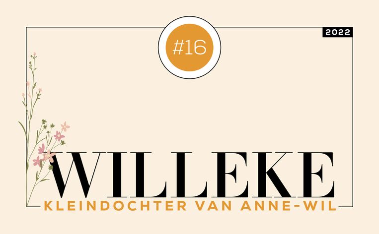 null Beeld 