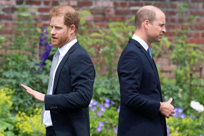 Le prince Harry et le prince William durant la cérémonie en hommage à leur mère décédée Diana.