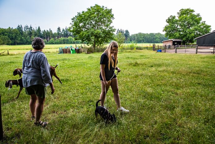 Saar krijgt een basis wandelcursus met Rakker de hond van Jeanny Rouwet.