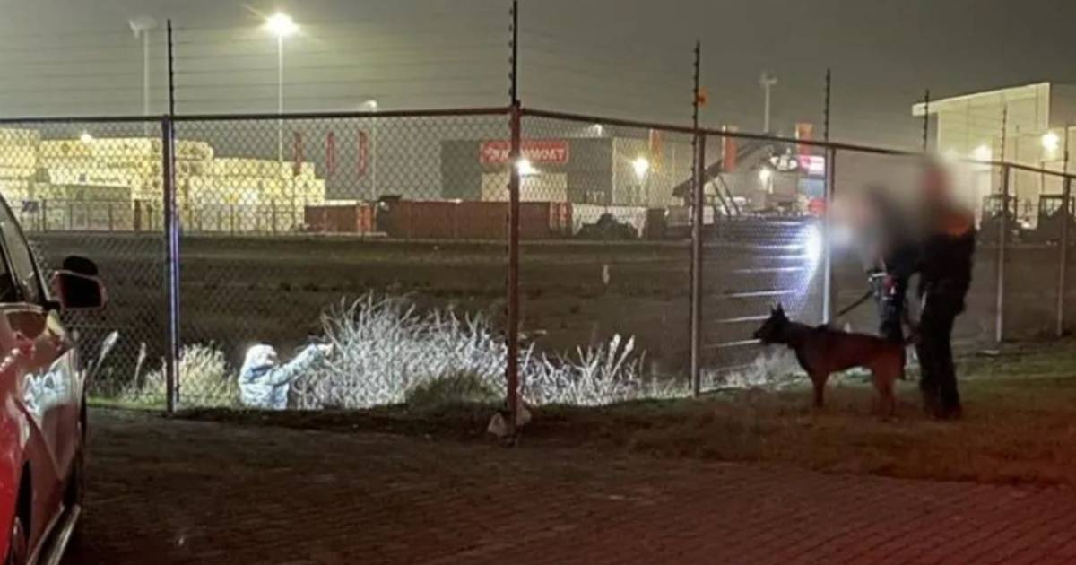 Politie houdt twee Albanese indringers aan in havengebied Nieuwdorp
