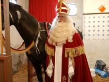 Ruim 600.000 kijkers zien dat Sinterklaas’ paard Ozosnel niet wit, maar zwart is