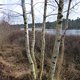 Ouderwets genieten in Oisterwijk, een wandelklassieker