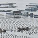 Verhoudingen verder op scherp na doden Chinese vissers door Zuid-Korea