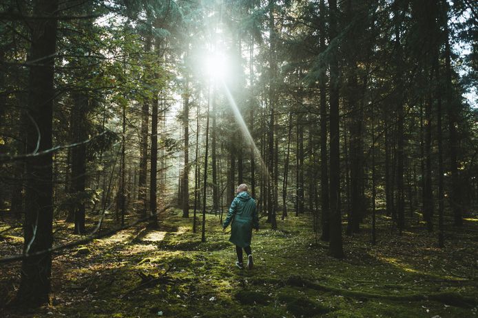 Getty Images/EyeEm