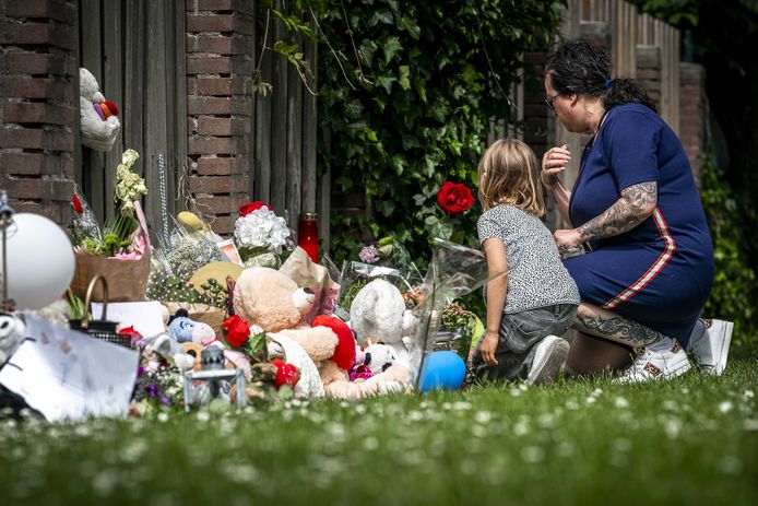 Steeds meer mensen leggen bloemen en knuffels neer bij de plek waar de 9-jarige Gino werd gevonden. De 22-jarige Donny M. is aangehouden op verdenking van ontvoering en betrokkenheid bij de dood van het jongetje.