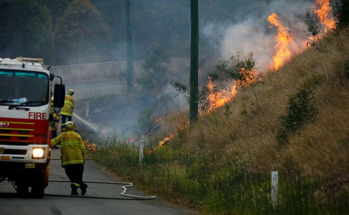 Brandweermannen gaan het vuur te lijf in Koorainghat, New South Wales.