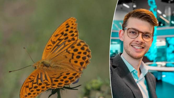 Zo maak je van jouw tuin een vlinderparadijs: “Gebruik zeker geen pesticiden en zo weinig mogelijk meststoffen”