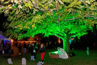 Terror Nights 2024 met meer spookhuizen, een horecaplein en een ruimere openingstijd