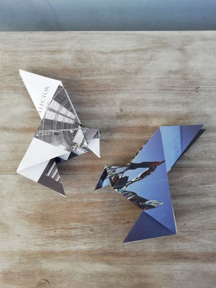 Origamiforlife