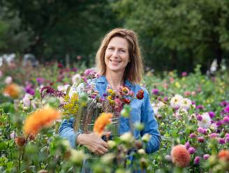 Maak je eigen boeket van gedroogde bloemen en spaar tot 50 euro: onze tuinexperte legt uit hoe je het maakt
