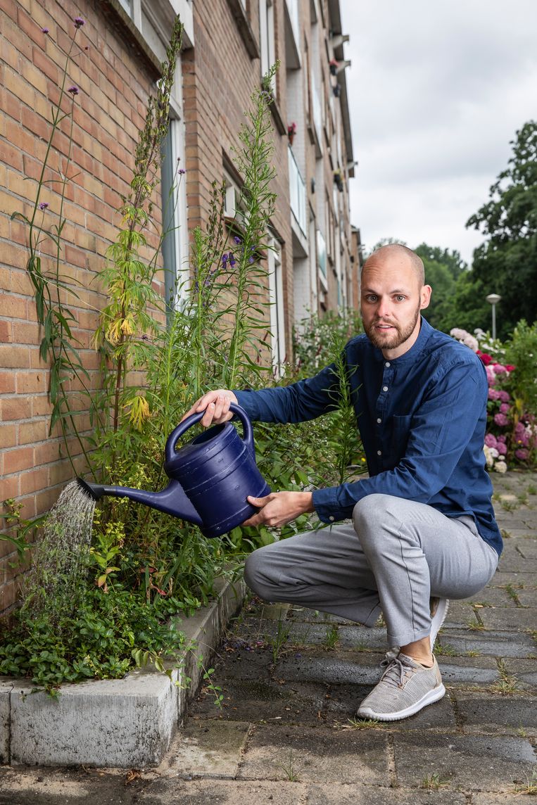 Iedereen een geveltuin: wordt Amsterdam kampioen tegelwippen?