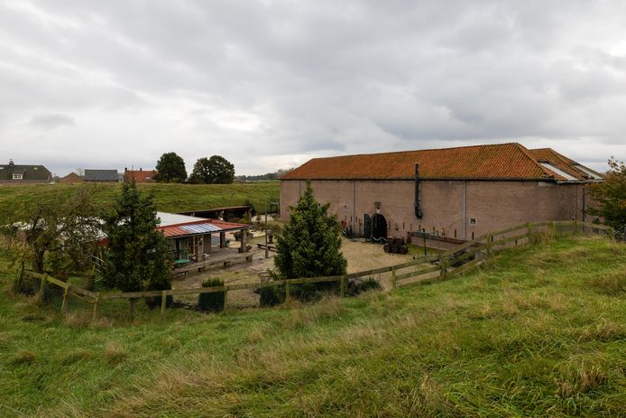Ford Hedikhuizen staat te koop.