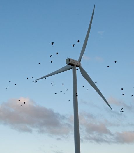 Nee, gemeente Soest gaat niet op zoek naar extra locaties voor windturbines: ‘Zien wij geen reden toe’
