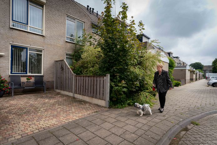 Het spookhuis aan de Belle van Zuylenstraat wordt al 2,5 jaar niet bewoond.