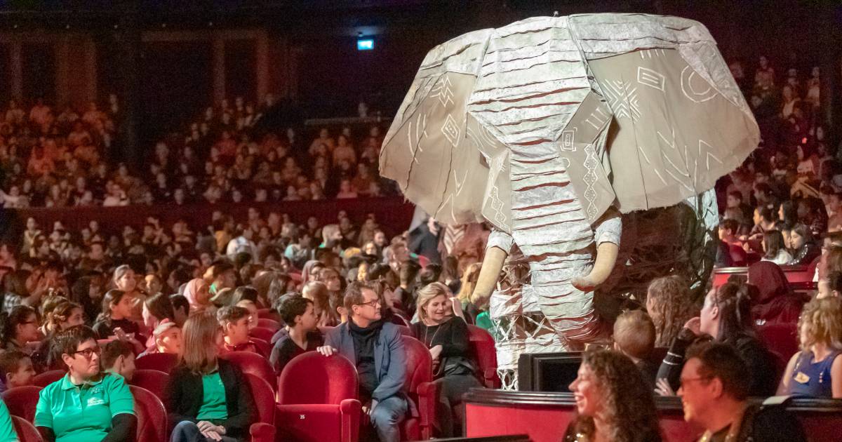 Muildier financiën Mening 1500 kinderen zien voorstelling The Lion King in het Circustheater | Den  Haag | AD.nl