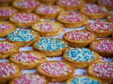 Zet de beschuit met muisjes alvast maar klaar: het Beatrixziekenhuis verwacht een geboortegolf