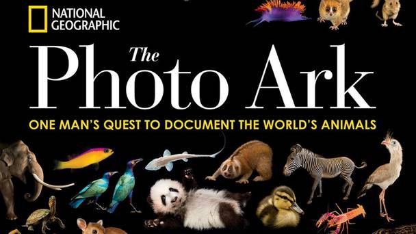 Rare: Creatures of the Photo Ark
