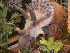 Aller voir des dinosaures à Charleroi, c’est possible jusqu’en septembre: “L’effet Wouaw”