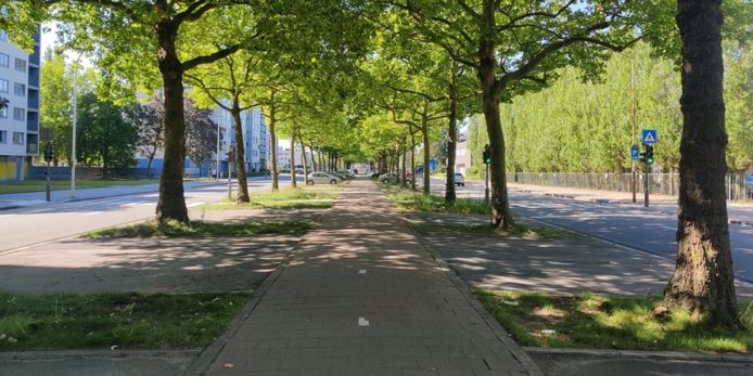 Het fietspad op de Halewijnlaan op de Antwerpse Linkeroever wordt heraangelegd.