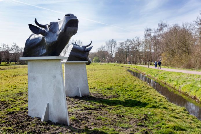 De koeienbeelden Bert en Birgit op de hoek Slimme Wetering/Harreweg in Schiedam.