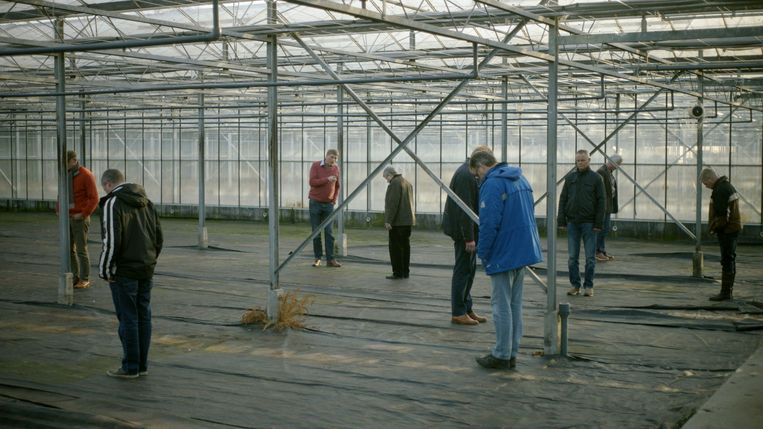 Als de koeien staken, geeft de bank niet thuis - Trouw
