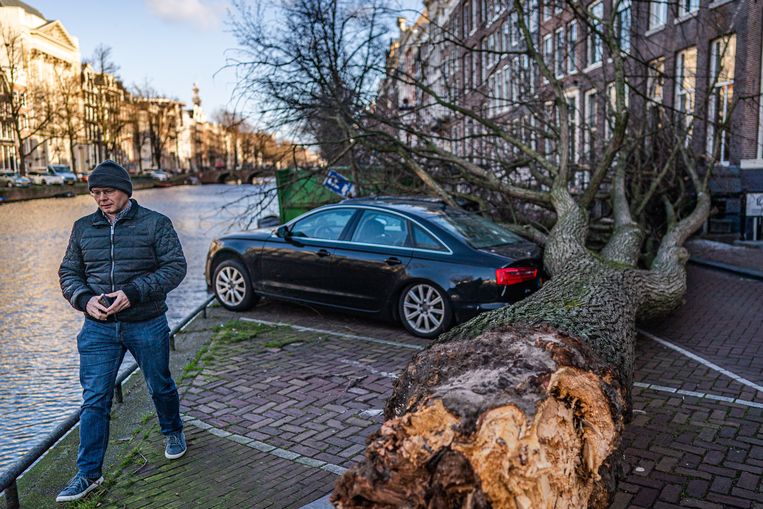 Een omgevallen boom op een Amsterdamse gracht na storm Eunice. Beeld Joris van Gennip