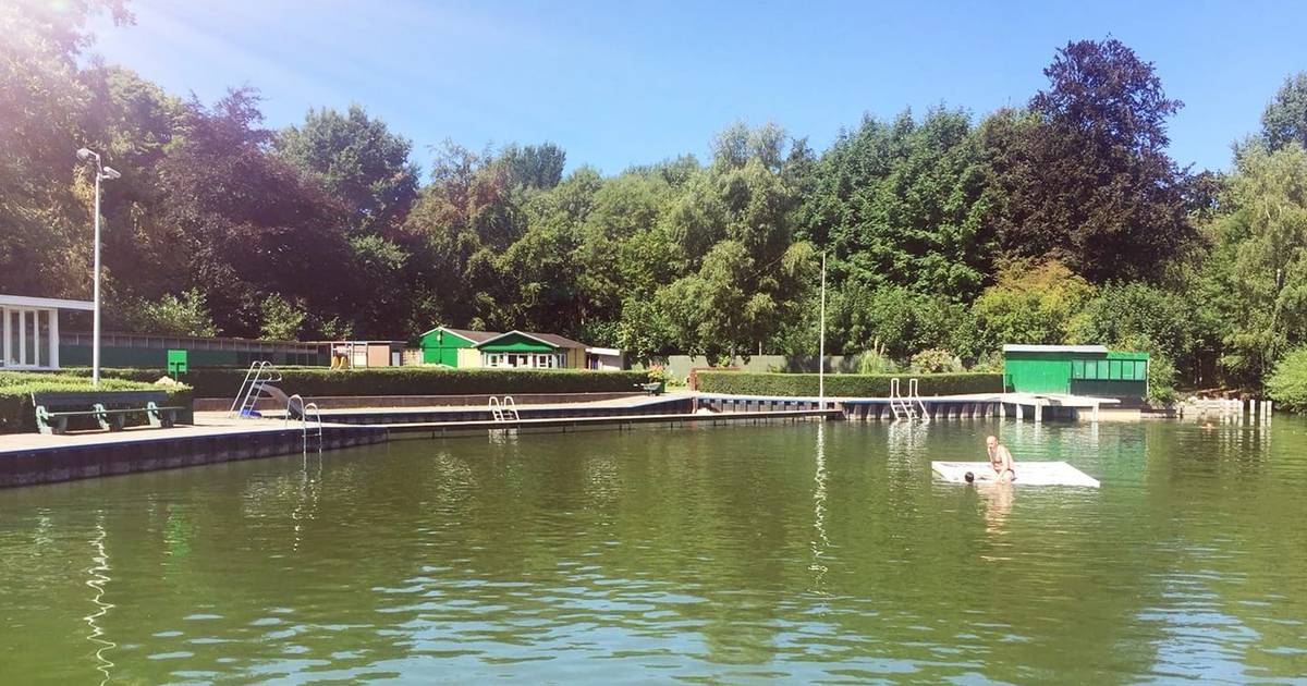 Natuurbad De Put In Rijswijk Weer Open Na Ruimen 2500 Kilo Dode Vis Den Haag Ad Nl