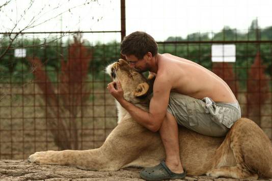 De tussenkomst van een leeuwin redde Michal het vege lijf in 2012.