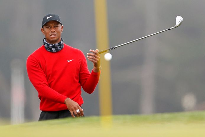Golficoon Tiger Woods.