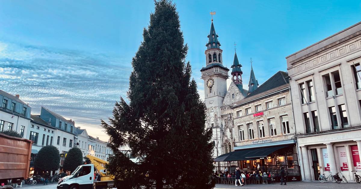 Kerstboom van 15 meter hoog op de Grote Markt “Een uniek exemplaar