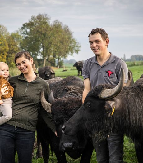 Emma, Olivier en hun buffels nemen bijzondere boerderij aan de IJssel bij Deventer over: ‘Ideale plek’