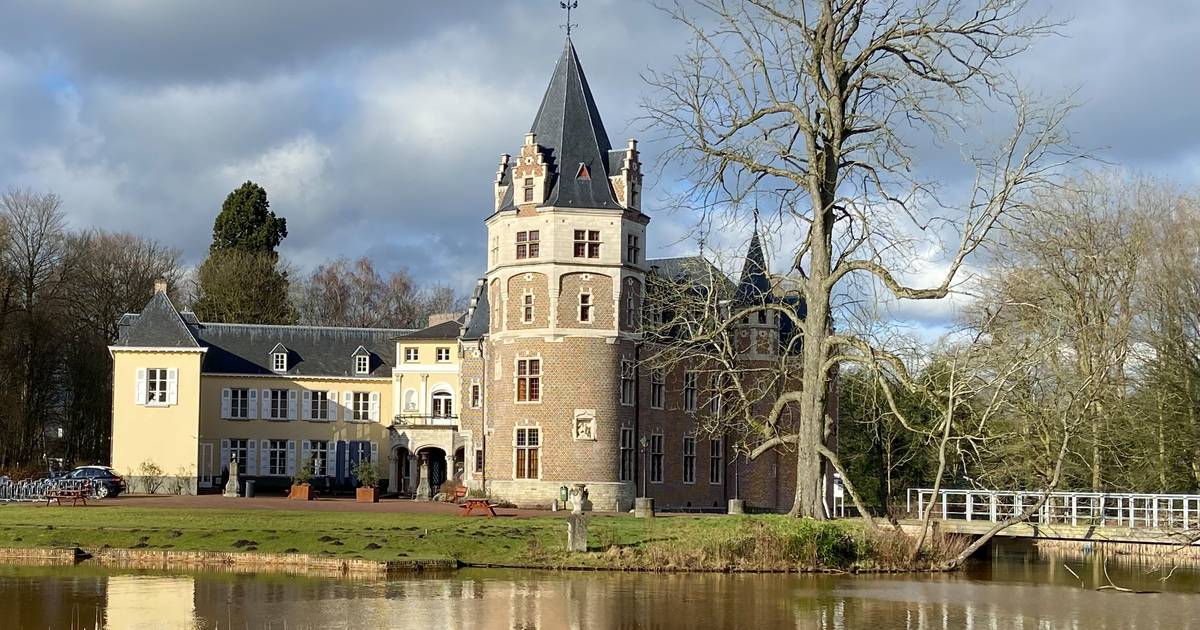 Twaalf lokale kunstenaars komend weekend in Kasteel de Renesse | Malle