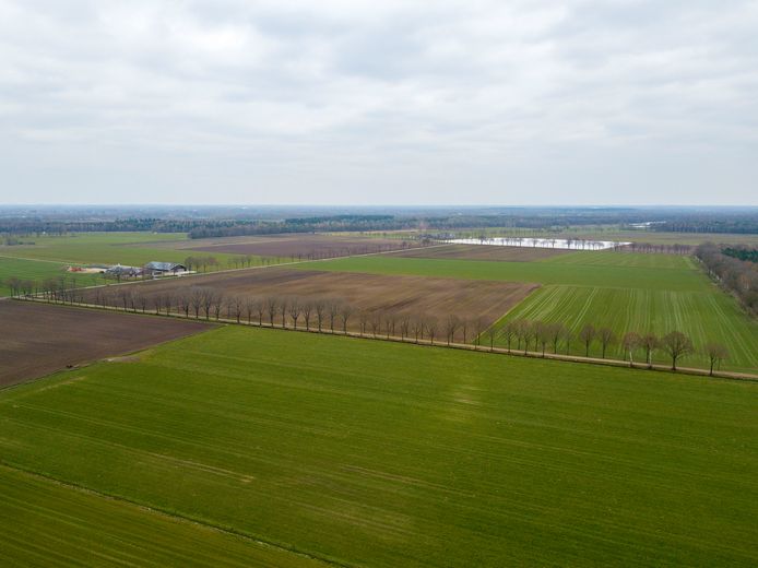 Een deel van de 142 percelen in Mariahout waarop de gemeente een voorkeursrecht heeft gelegd om zelf de regie te houden over het plaatsen van bijvoorbeeld windmolens.