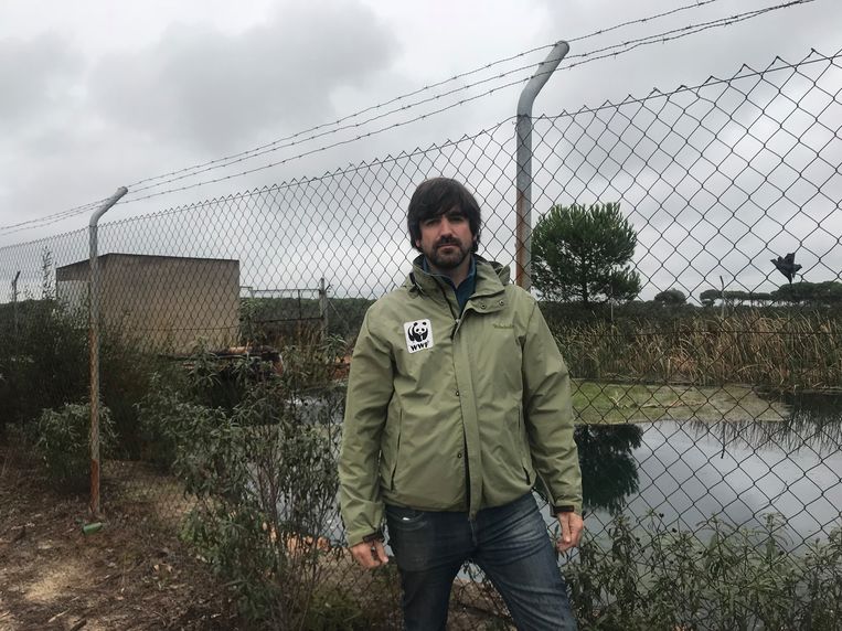 Natuurbeschermer Felipe Fuentesalz bij een illegale waterbron in de buurt van natuurpark Doñana. Beeld alex tieleman