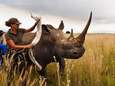 Stropers doden minder neushoorns in Zuid-Afrika door coronalockdowns 