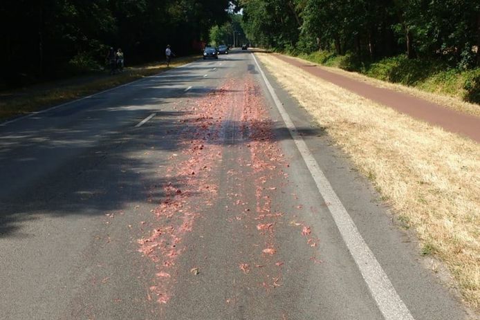 Archieffoto ter illustratie. Deze foto is niet in Drenthe gemaakt.