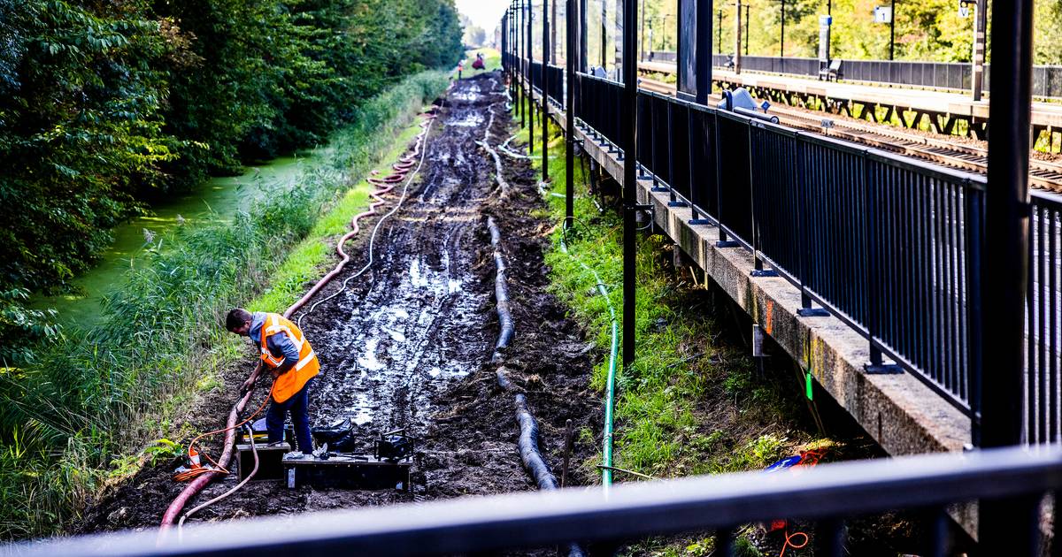 Station Zuid in revisie: achttien dagen geen treinen tussen Dordrecht en Lage Zwaluwe - Provinciale 