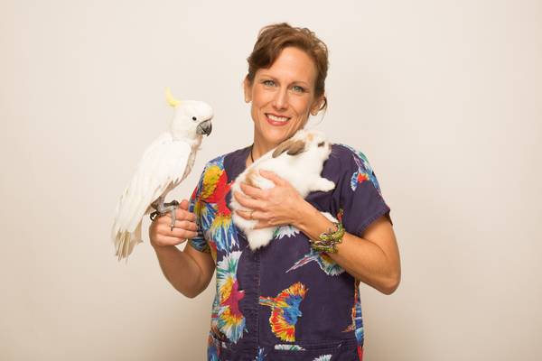 Dr. K's Exotic Animal ER