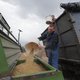 Miljoenen tonnen graan moeten Oekraïne uit, maar hoe?