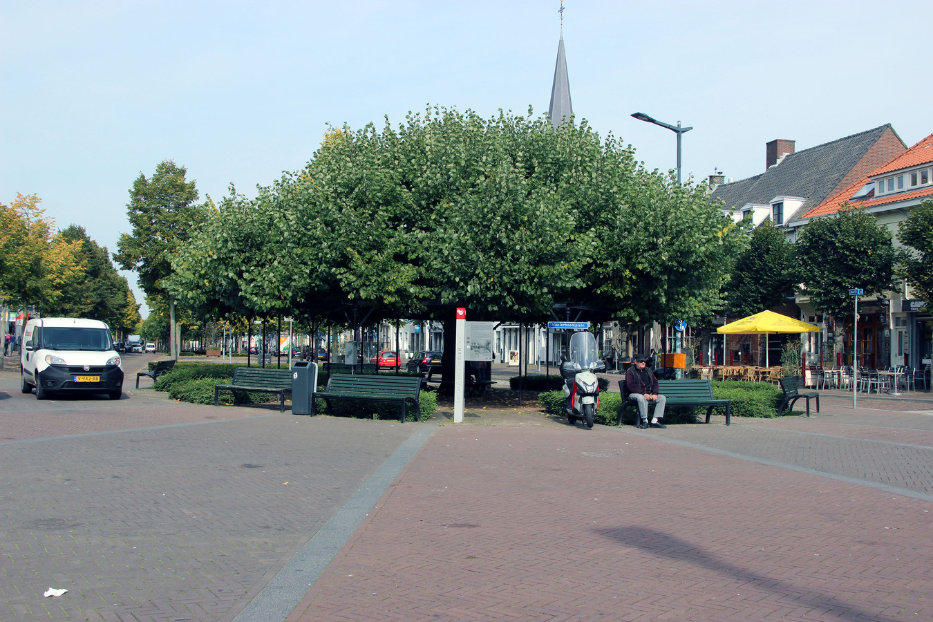 Deze boom is mooiste van Brabant, maar is hij ook de mooiste van