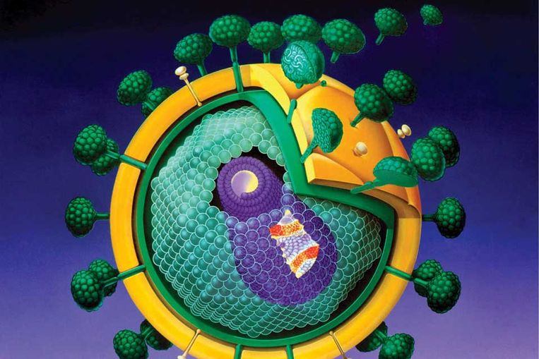 Mysterieus virus Conficker lijkt actief De Volkskrant