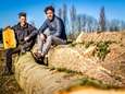 Van borrelplank tot doodskist: Dordts Hout geeft gesneuvelde bomen een tweede leven