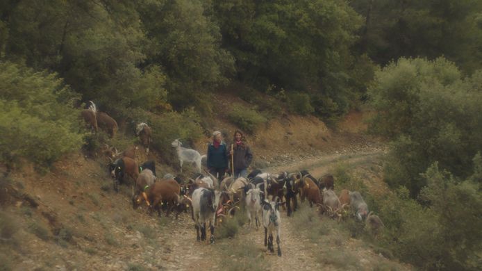 Dans une ferme abandonnée en France, Doulière a rassemblé autour de lui un troupeau de chèvres et un groupe d'adeptes.