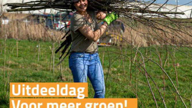 Meer Bomen Nu Gelderland deelt 50.000 gratis bomen en struiken uit