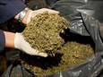 Themabeeld - cannabis