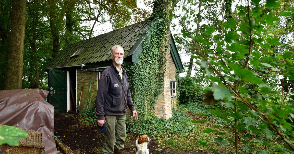 Op zoek naar de stilste baan ter wereld? De oudste eendenkooi in Berkenwoude zoekt een echte natuurl