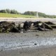 'Explosie caisson niet door WO II-projectiel'